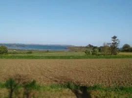 Tiny house sur la Presqu'île Sauvage