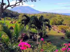 Ananda Guesthouse, hotel v destinaci Balgue