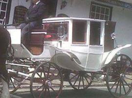 The Swan Inn, hotell sihtkohas Midhurst