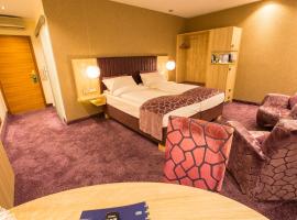 Top Hotel Hammer - Mainz Hauptbahnhof, Hotel in Mainz