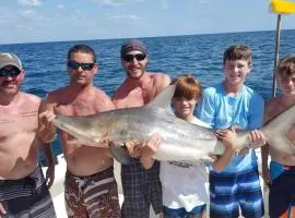 Holiday Inn & Suites Clearwater Beach S-Harbourside