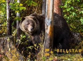 Palliser Lodge — Bellstar Hotels & Resorts, hotel near Stairway to Heaven, Golden