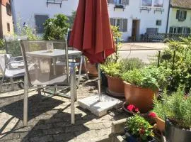 Idyllische Ferienwohnung am See