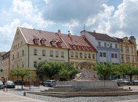 Hotel Česká Koruna, hotell i Děčín