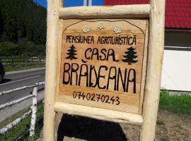 Pensiunea agroturistică Casa Brădeana, hotel en Albac