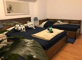 Apartments Balkanska City Center