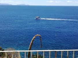 See to Sea