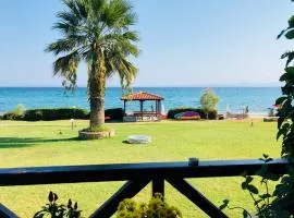 ON THE BEACH apartment