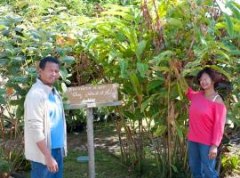 Le Ruisseau, homestay in Saint-Paul