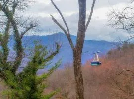 Four Bears Den, Free Attraction Tickets, Hot Tub, Arcade Game, Gatlinburg, WIFI!!!