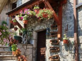 Aleksa, hotel in Cetinje