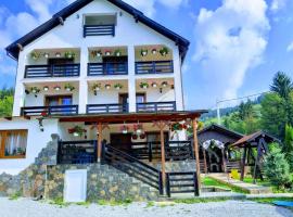 Vila Confort, hotel a Borşa