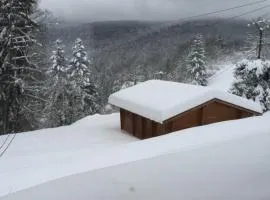 chalet "le Refuge du Brabant"