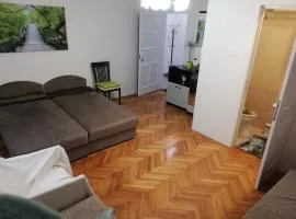 Örökzöld Apartman Szeged