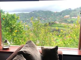 CASA RURAL CON DESAYUNO Y BONITAS VISTAS, lantligt boende i Teror