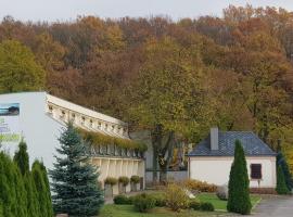 RIVA Ośrodek Wypoczynkowy, hôtel avec parking à Więcbork