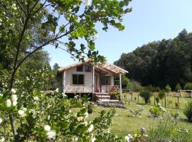 Cabañas Aliwen Panguipulli, hotel em Panguipulli