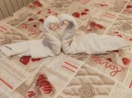 Bed & Breakfast Hostel H24