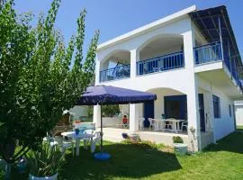 Dolphins House