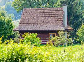 Smolnikowe Klimaty - Chyżula, brunarica v mestu Komańcza