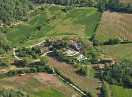 Une Campagne En Provence