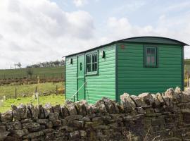 Peat Gate Shepherd's Hut, hotel in Greenhead