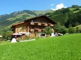 Appartement-Pension Fahrnberggut