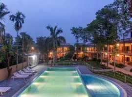 Jungle Safari Lodge- Serenity in the Wild
