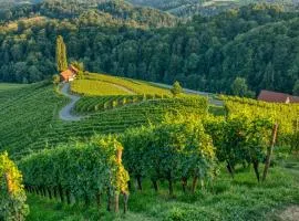 Turistična kmetija Dreisiebner