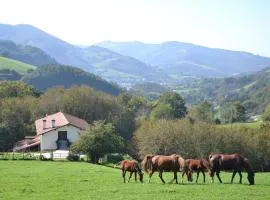 CASA RURAL Arriaran