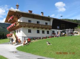 Ferienwohnung Schoberhof: Filzmoos şehrinde bir otel