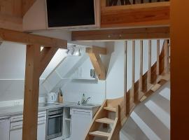 Altes Siedlerhaus Nesebanz, apartmen di Gustow