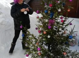 Apartmani Miletic Kopaonik