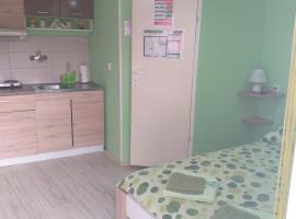 Apartman Andjela 1, hotel in Vrdnik