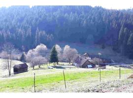 Ferienhaus Schwarzwald Seewald Erzgrube Badesee 100% Natur, maison de vacances à Seewald