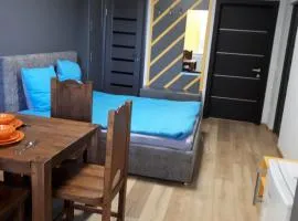 Квартира посуточно в Ужгороде