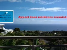 Magnifique T2 vue mer