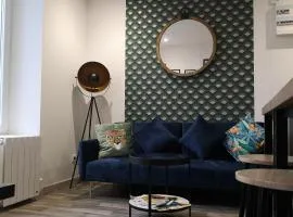 Bel appartement en face de la pépinere de Nancy Stanislas