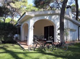 Villa Biancospini,16, будинок для відпустки у місті Кастелланета-Марина