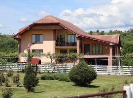 Casa de vacanta Madalina, hostal o pensión en Novaci-Străini