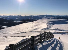 Ferienwohnung Klauber Schöder, ski resort in Schöder