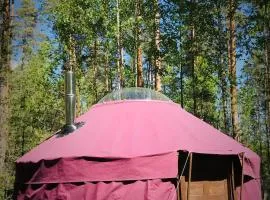 Jurtta Linkkumylly