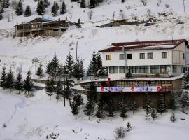 Snow Patrol Lodge, hotel v destinaci Tetovo