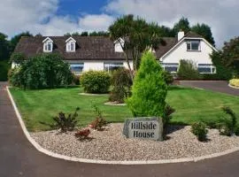 Hillside House