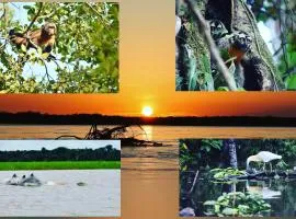 Lodge Jungle Wolf Expeditions