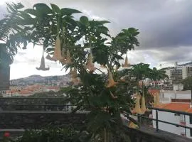 Casa Vanday