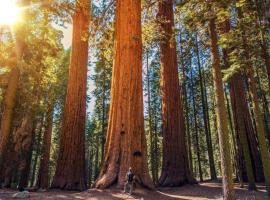 The Sequoia Hut!: Three Rivers şehrinde bir otel