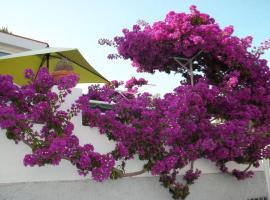 Hotel Villa Cecilia, hotel v Ischii