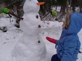 日本白馬10 間最佳山林小屋 Booking Com