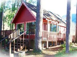 Mt Rainier Little Red Cabin